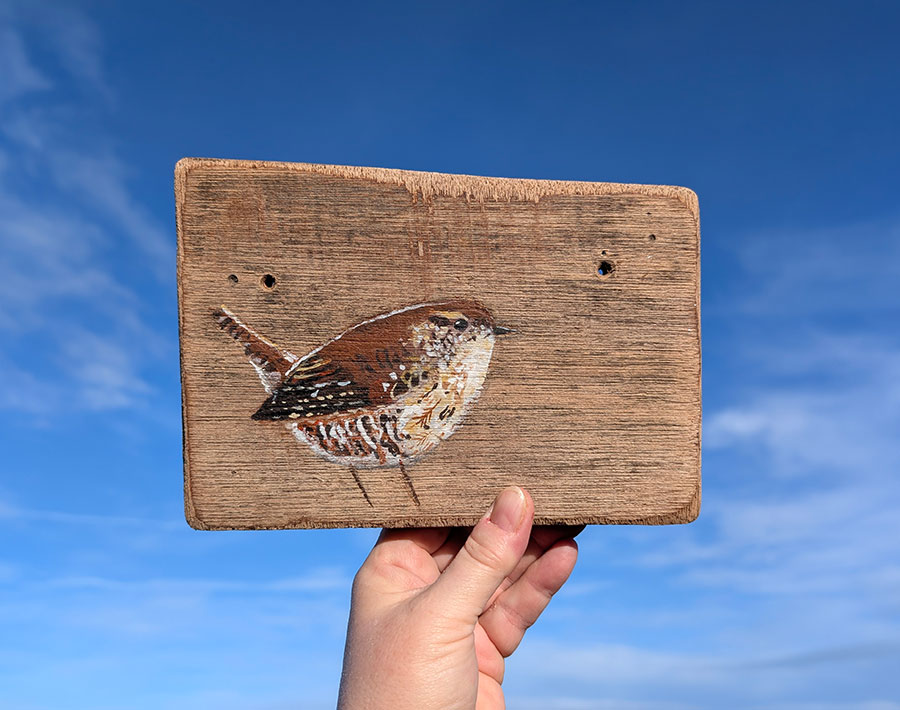 Vinny the Wren. Welsh driftwood