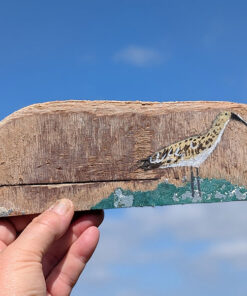 Diane the Curlew. Small painting on Welsh driftwood