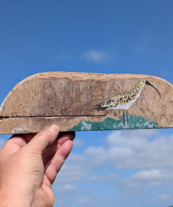Alternative view of Diane the Curlew. Small painting on Welsh driftwood