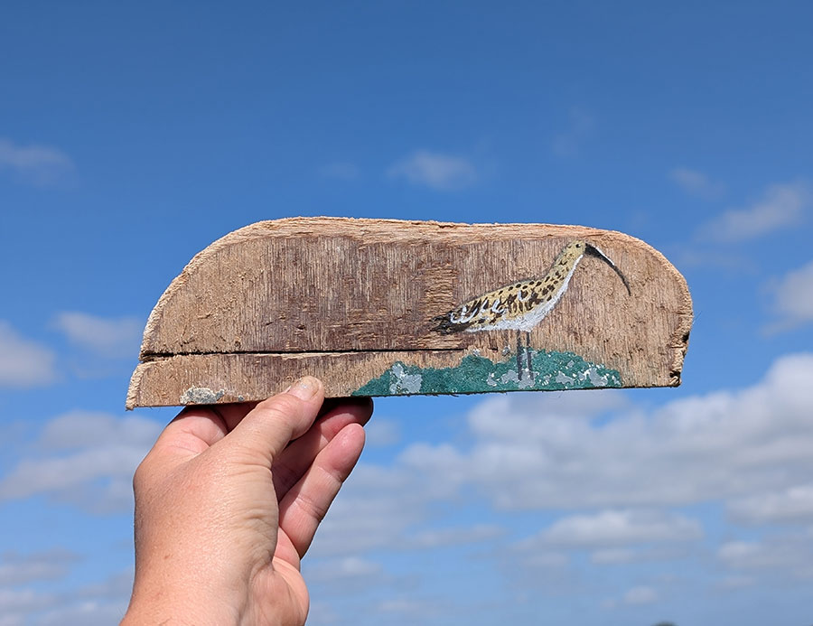 Diane the Curlew. Small painting on Welsh driftwood - Image 2