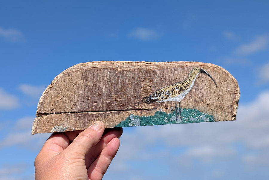 Diane the Curlew. Small painting on Welsh driftwood
