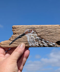 Dorian. Curlew detail, miniature painting on Welsh driftwood