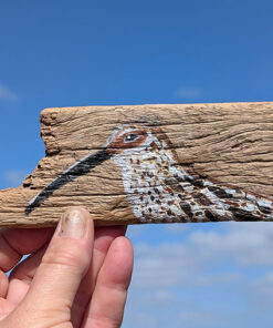 Alternative view of Dorian. Curlew detail, miniature painting on Welsh driftwood