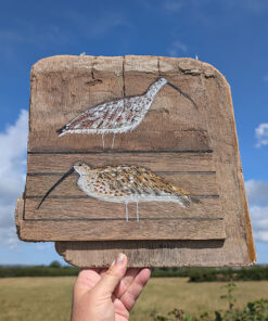 You and me, me and you. Curlew painting on Welsh driftwood
