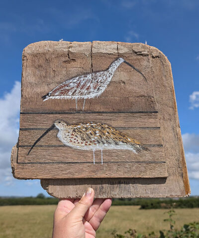 You and me, me and you. Curlew painting on Welsh driftwood