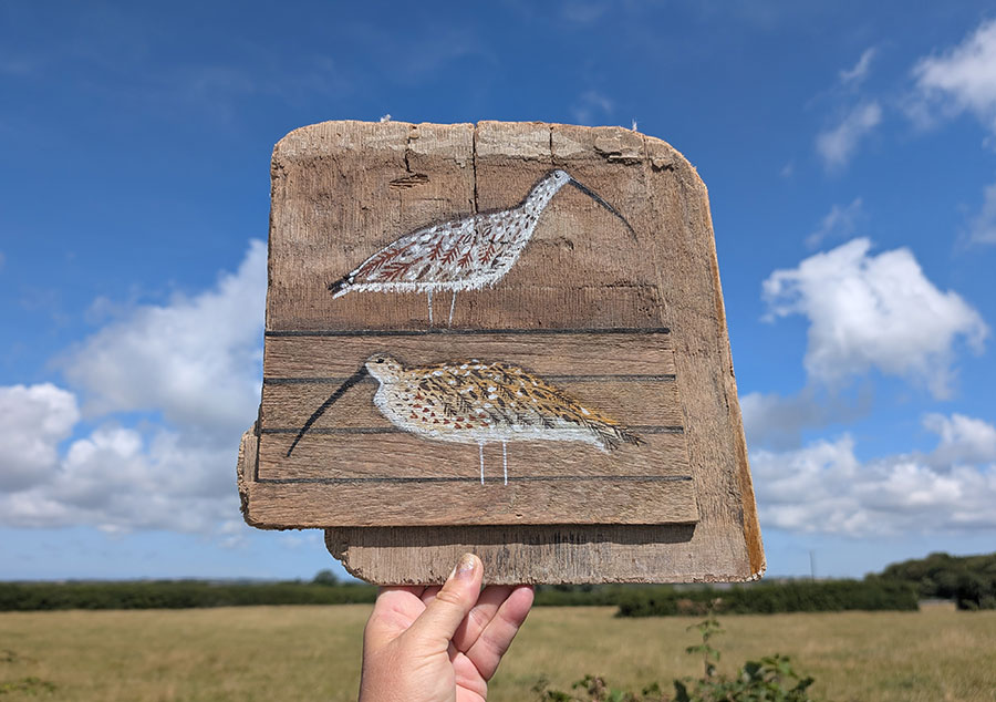 You and me, me and you. Curlew painting on Welsh driftwood