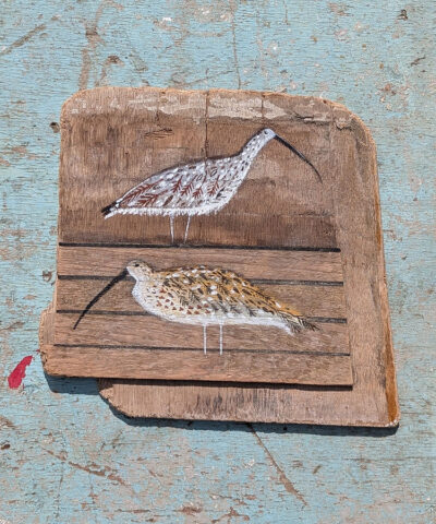 Alternative view of You and me, me and you. Curlew painting on Welsh driftwood