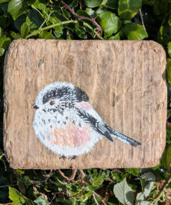 Vivian the Long Tailed Tit. Welsh drfitwood