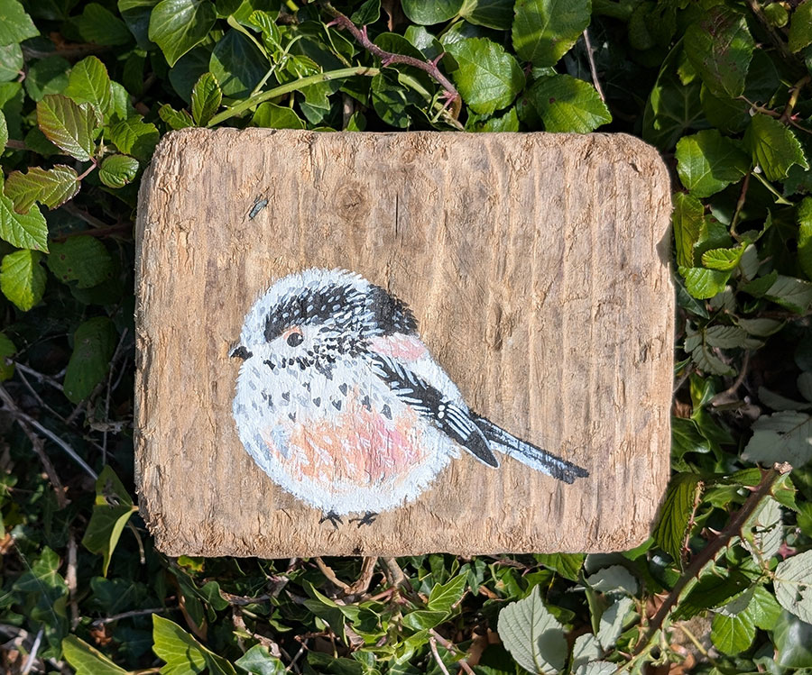 Vivian the Long Tailed Tit. Welsh drfitwood