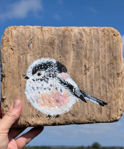 Alternative view of Vivian the Long Tailed Tit. Welsh drfitwood