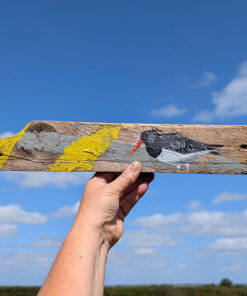 Marguerite the Oystercatcher. Welsh driftwood