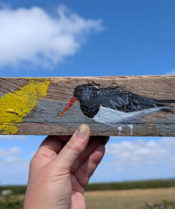 Alternative view of Marguerite the Oystercatcher. Welsh driftwood