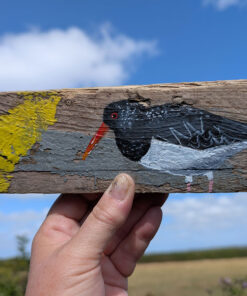 Marguerite the Oystercatcher. Welsh driftwood - Image 3