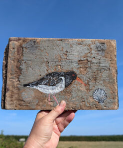 Alternative view of The Oystercatcher and the Scallop
