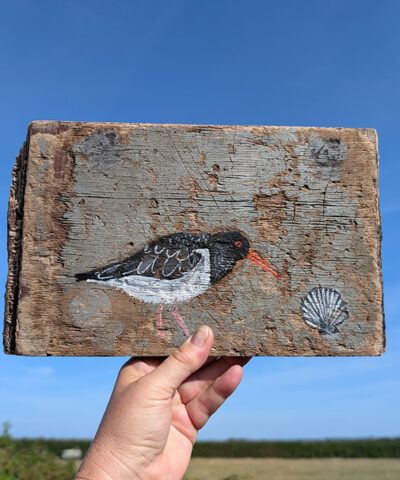 Alternative view of The Oystercatcher and the Scallop