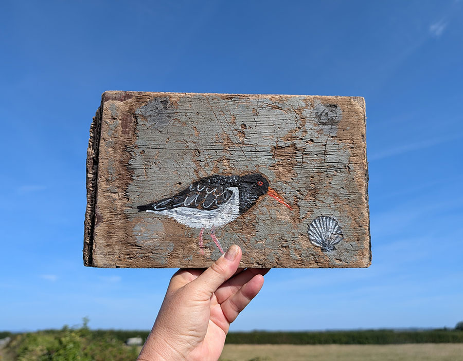 The Oystercatcher and the Scallop - Image 2