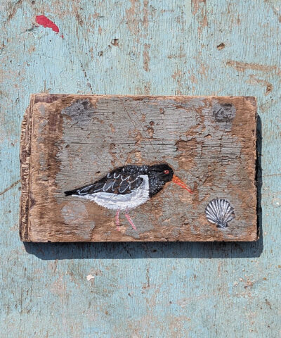 The Oystercatcher and the Scallop