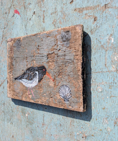 The Oystercatcher and the Scallop - Image 3