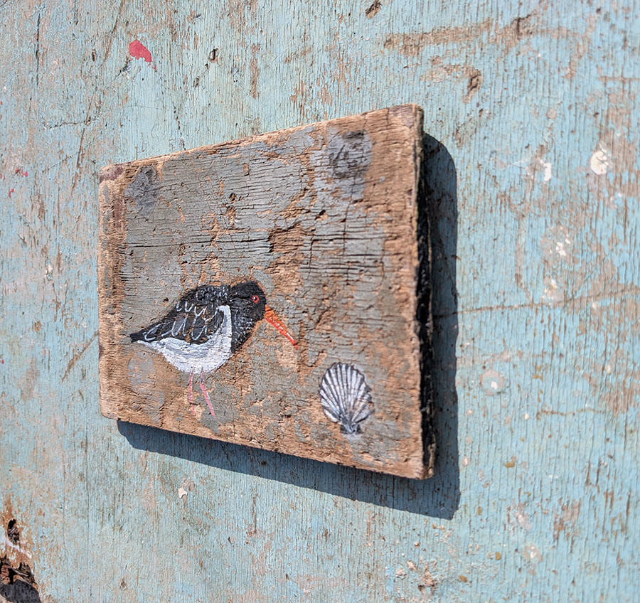 The Oystercatcher and the Scallop - Image 3