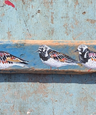 The Three Amigoes. Turnstone painting on Sussex driftwood - Image 4