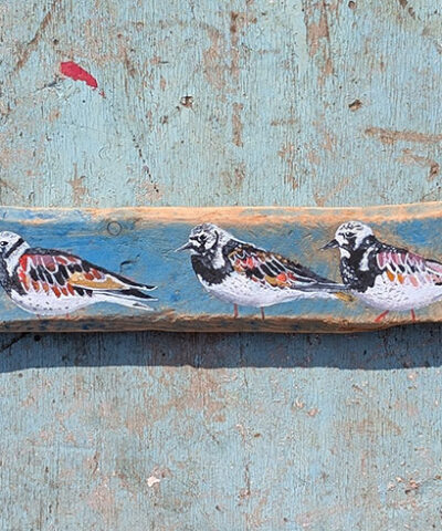 The Three Amigoes. Turnstone painting on Sussex driftwood - Image 3