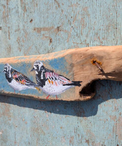 Alternative view of The Three Amigoes. Turnstone painting on Sussex driftwood