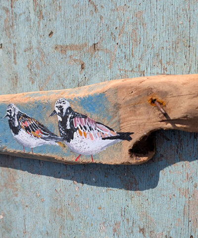 Alternative view of The Three Amigoes. Turnstone painting on Sussex driftwood