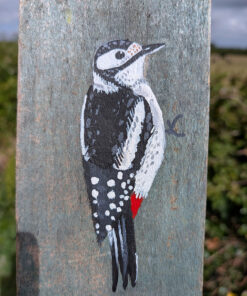 Ying and Yang. A pair of woodpeckers painted on The Isle of Colonsay wood - Image 4
