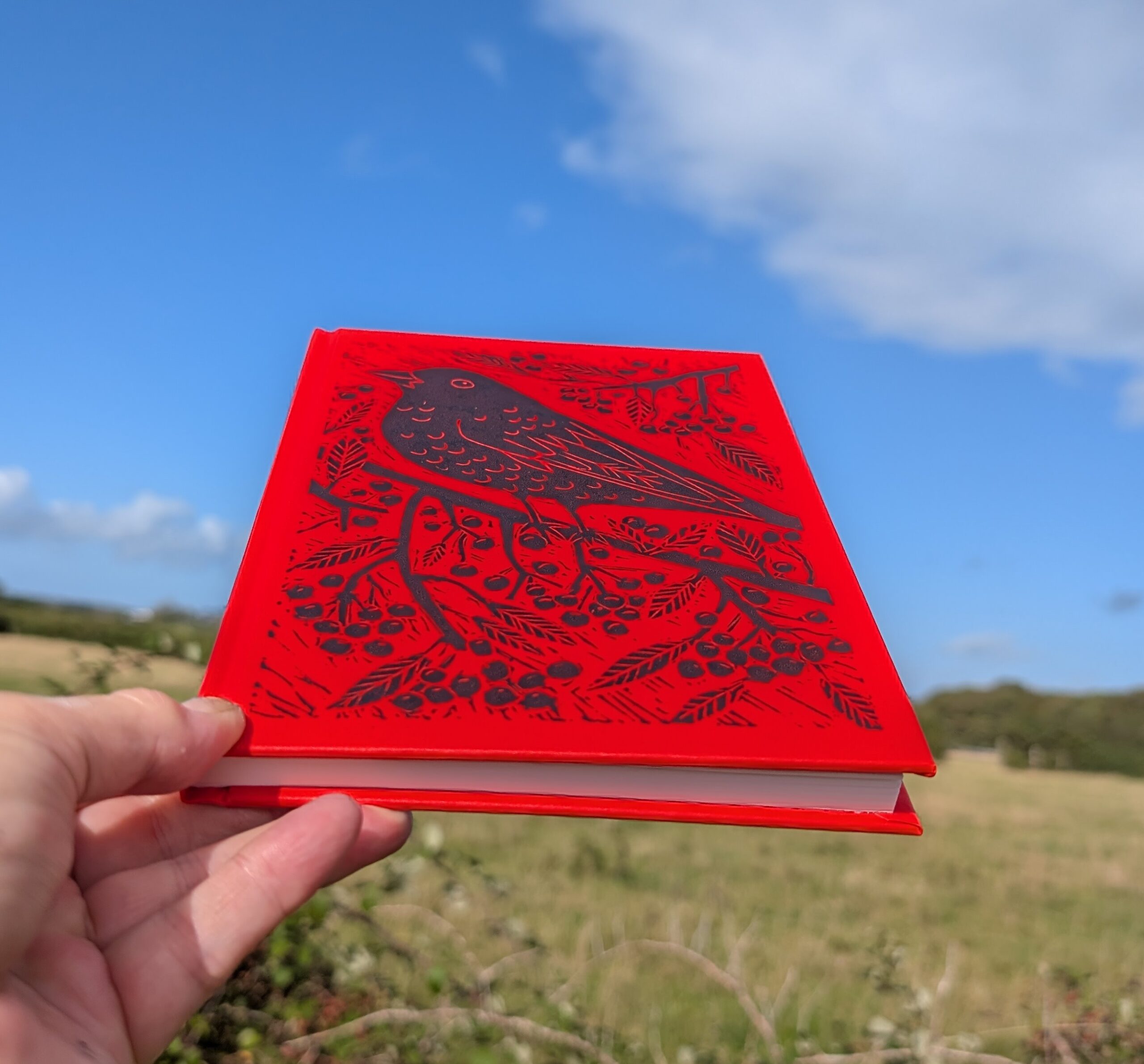 4 x hand printed blackbird hardback note/sketchbook. Only an edition of 40 - Image 2